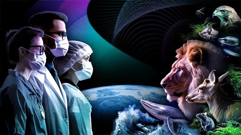 Three scientists with lab coats and masks looking back at a lion, bald eagle, deer, insect, rodents, reptiles, and insects representing One Health.